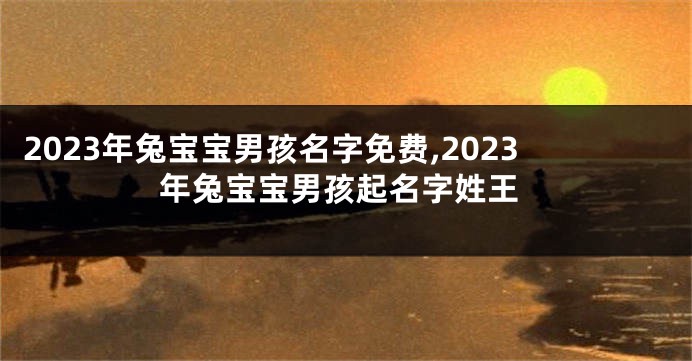 2023年兔宝宝男孩名字免费,2023年兔宝宝男孩起名字姓王