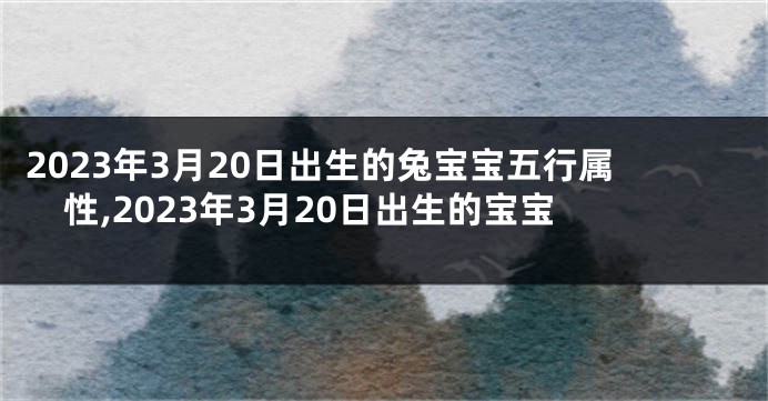 2023年3月20日出生的兔宝宝五行属性,2023年3月20日出生的宝宝