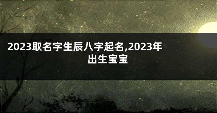 2023取名字生辰八字起名,2023年出生宝宝