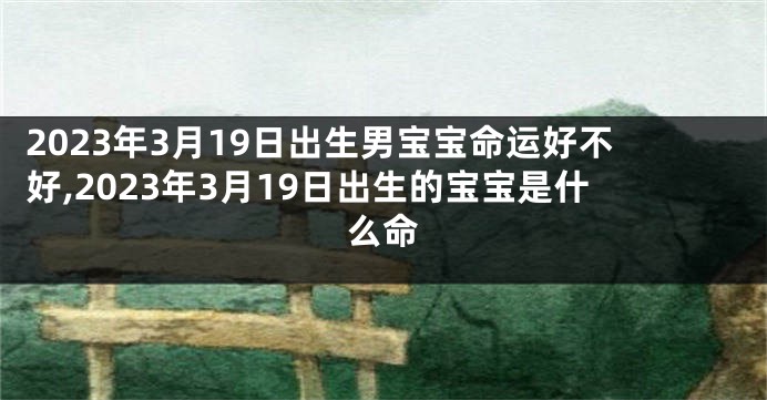 2023年3月19日出生男宝宝命运好不好,2023年3月19日出生的宝宝是什么命