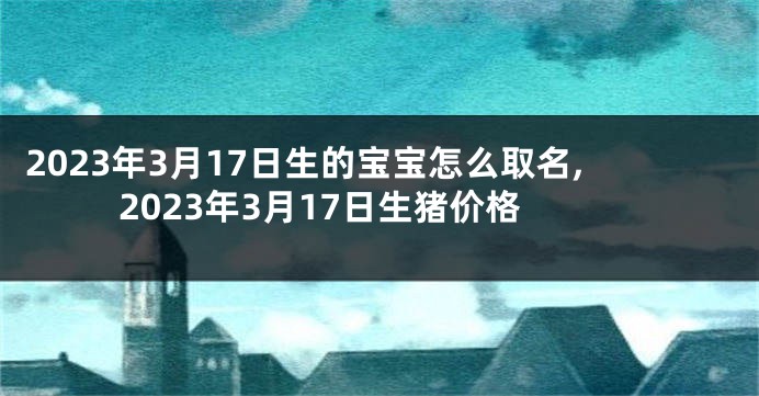 2023年3月17日生的宝宝怎么取名,2023年3月17日生猪价格