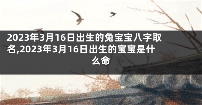 2023年3月16日出生的兔宝宝八字取名,2023年3月16日出生的宝宝是什么命