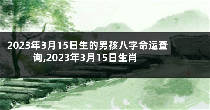 2023年3月15日生的男孩八字命运查询,2023年3月15日生肖