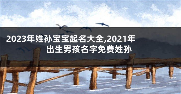 2023年姓孙宝宝起名大全,2021年出生男孩名字免费姓孙