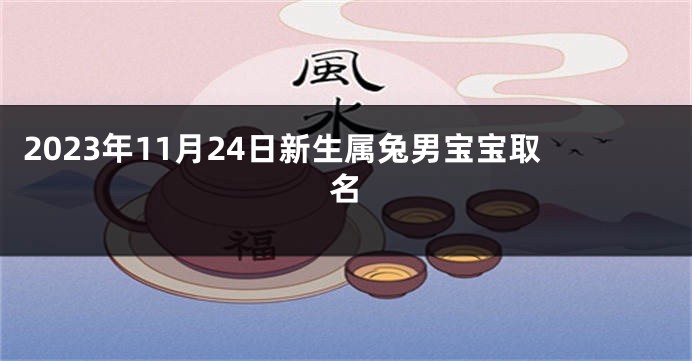 2023年11月24日新生属兔男宝宝取名