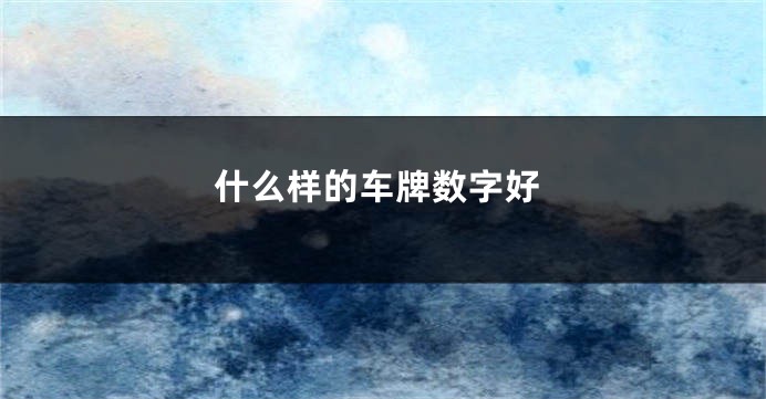 什么样的车牌数字好