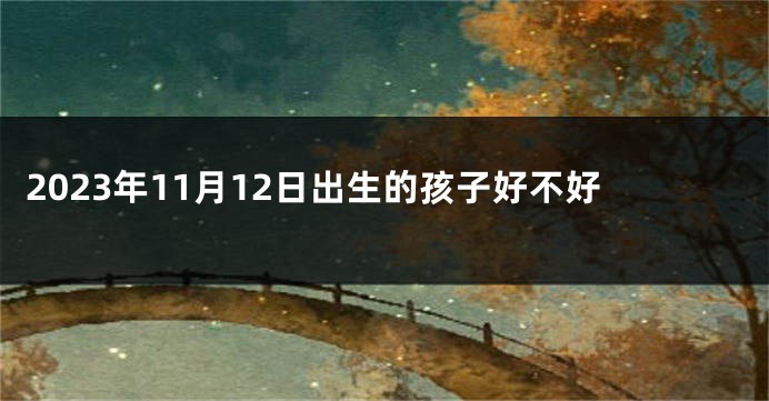 2023年11月12日出生的孩子好不好