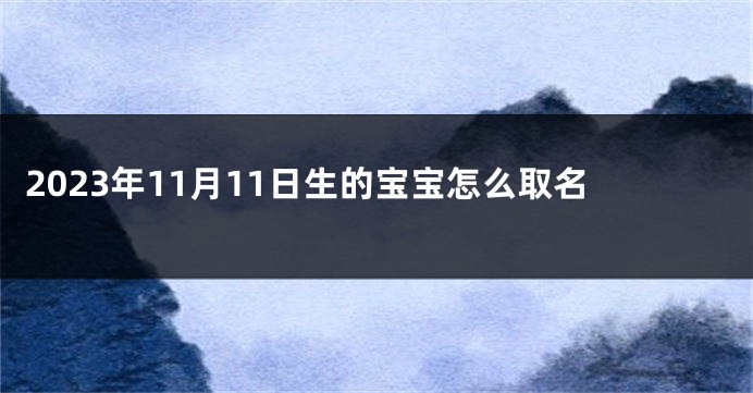 2023年11月11日生的宝宝怎么取名