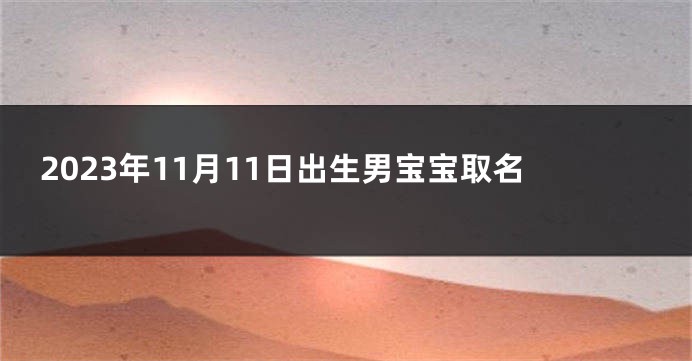 2023年11月11日出生男宝宝取名