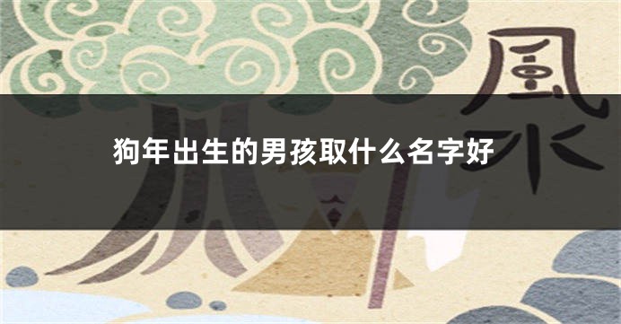 狗年出生的男孩取什么名字好