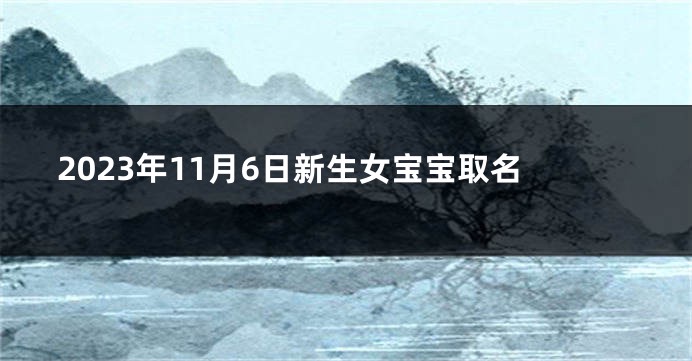 2023年11月6日新生女宝宝取名