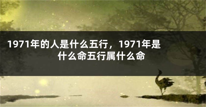 1971年的人是什么五行，1971年是什么命五行属什么命