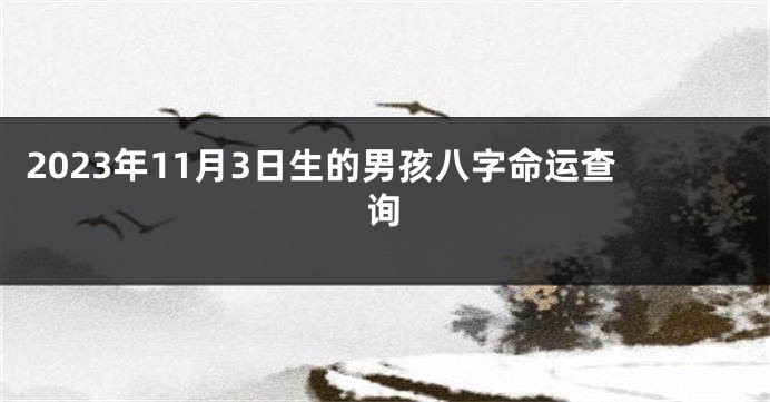 2023年11月3日生的男孩八字命运查询