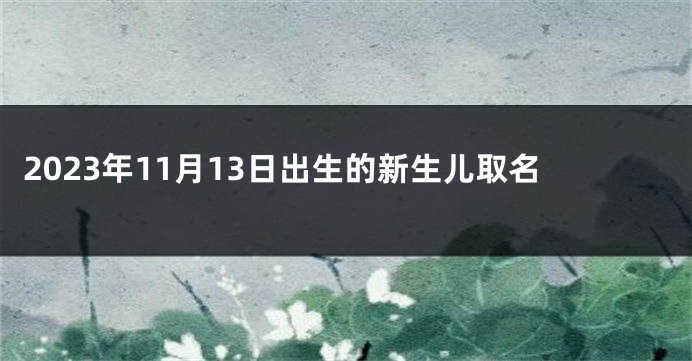 2023年11月13日出生的新生儿取名