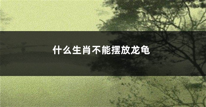 什么生肖不能摆放龙龟