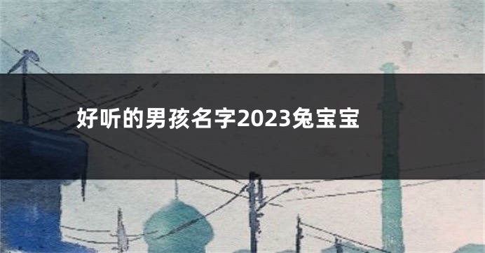 好听的男孩名字2023兔宝宝