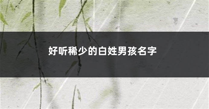 好听稀少的白姓男孩名字