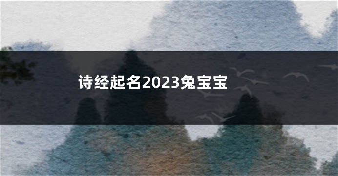 诗经起名2023兔宝宝