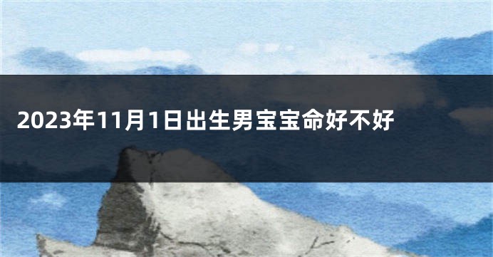 2023年11月1日出生男宝宝命好不好