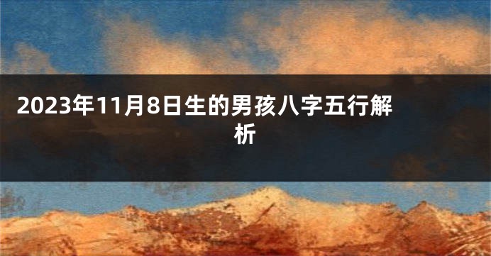 2023年11月8日生的男孩八字五行解析