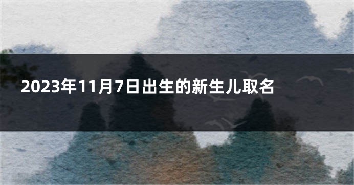 2023年11月7日出生的新生儿取名