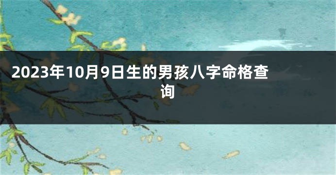 2023年10月9日生的男孩八字命格查询