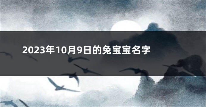 2023年10月9日的兔宝宝名字