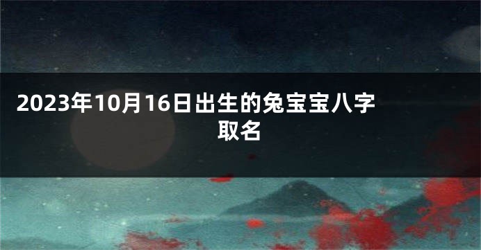 2023年10月16日出生的兔宝宝八字取名