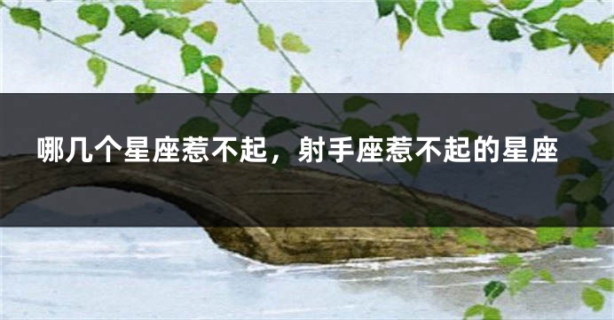 哪几个星座惹不起，射手座惹不起的星座