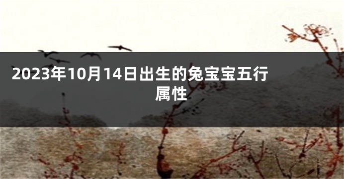 2023年10月14日出生的兔宝宝五行属性
