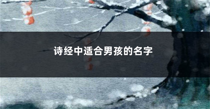 诗经中适合男孩的名字