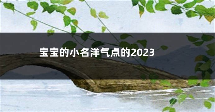 宝宝的小名洋气点的2023