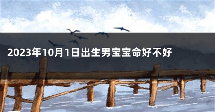 2023年10月1日出生男宝宝命好不好