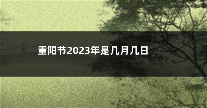 重阳节2023年是几月几日