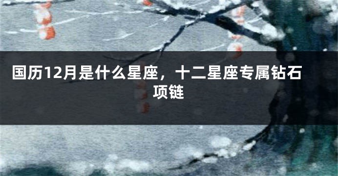 国历12月是什么星座，十二星座专属钻石项链