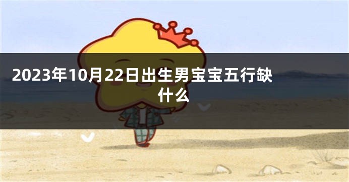2023年10月22日出生男宝宝五行缺什么