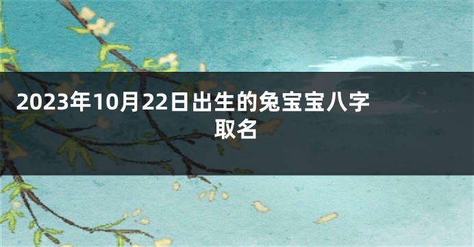2023年10月22日出生的兔宝宝八字取名