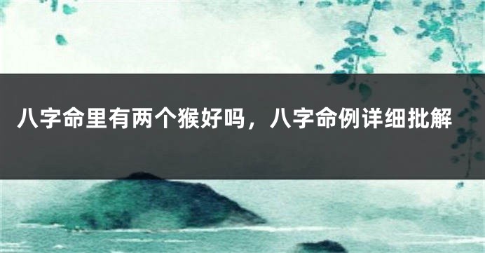 八字命里有两个猴好吗，八字命例详细批解