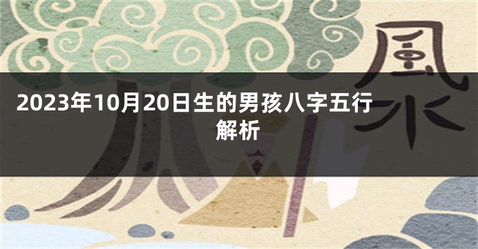 2023年10月20日生的男孩八字五行解析