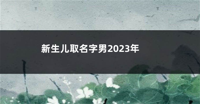 新生儿取名字男2023年