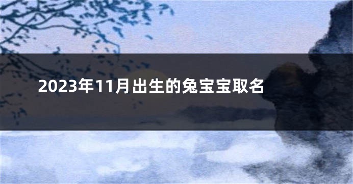 2023年11月出生的兔宝宝取名