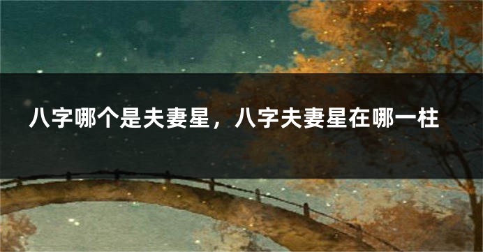八字哪个是夫妻星，八字夫妻星在哪一柱