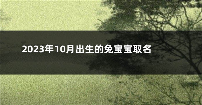 2023年10月出生的兔宝宝取名