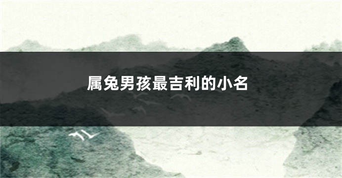 属兔男孩最吉利的小名