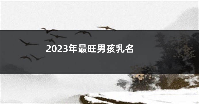 2023年最旺男孩乳名