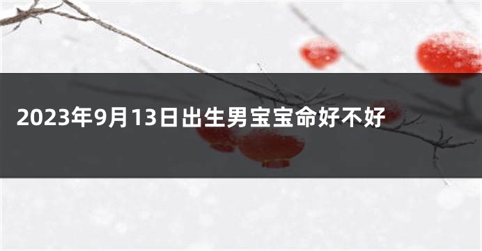 2023年9月13日出生男宝宝命好不好