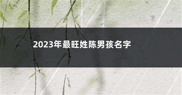 2023年最旺姓陈男孩名字