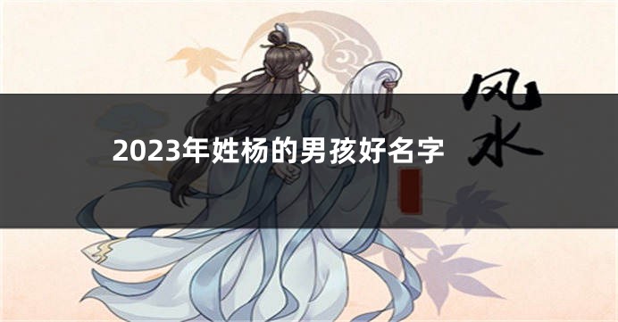 2023年姓杨的男孩好名字