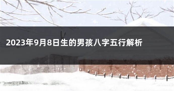 2023年9月8日生的男孩八字五行解析