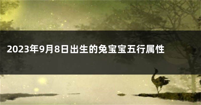 2023年9月8日出生的兔宝宝五行属性